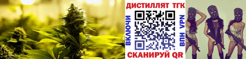 ТГК жижа цена omg зеркало Пойковский